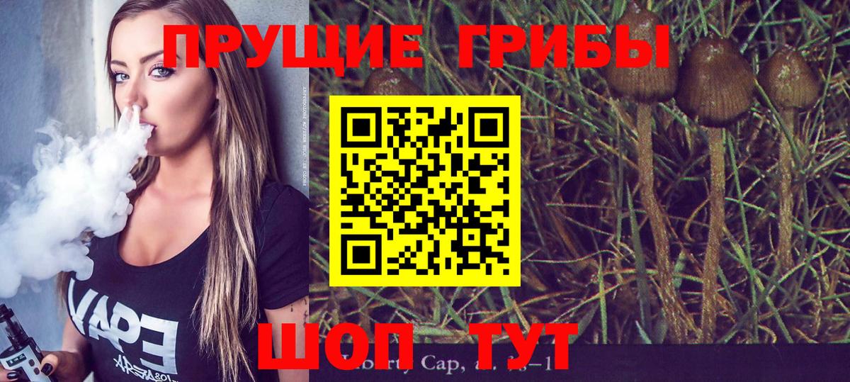 Псилоцибиновые грибы мицелий Заволжье