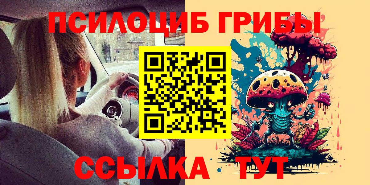 Псилоцибиновые грибы Psilocybe  Галлюциногенные грибы мицелий  дарнет шоп  Вход с VPN  Заволжье 